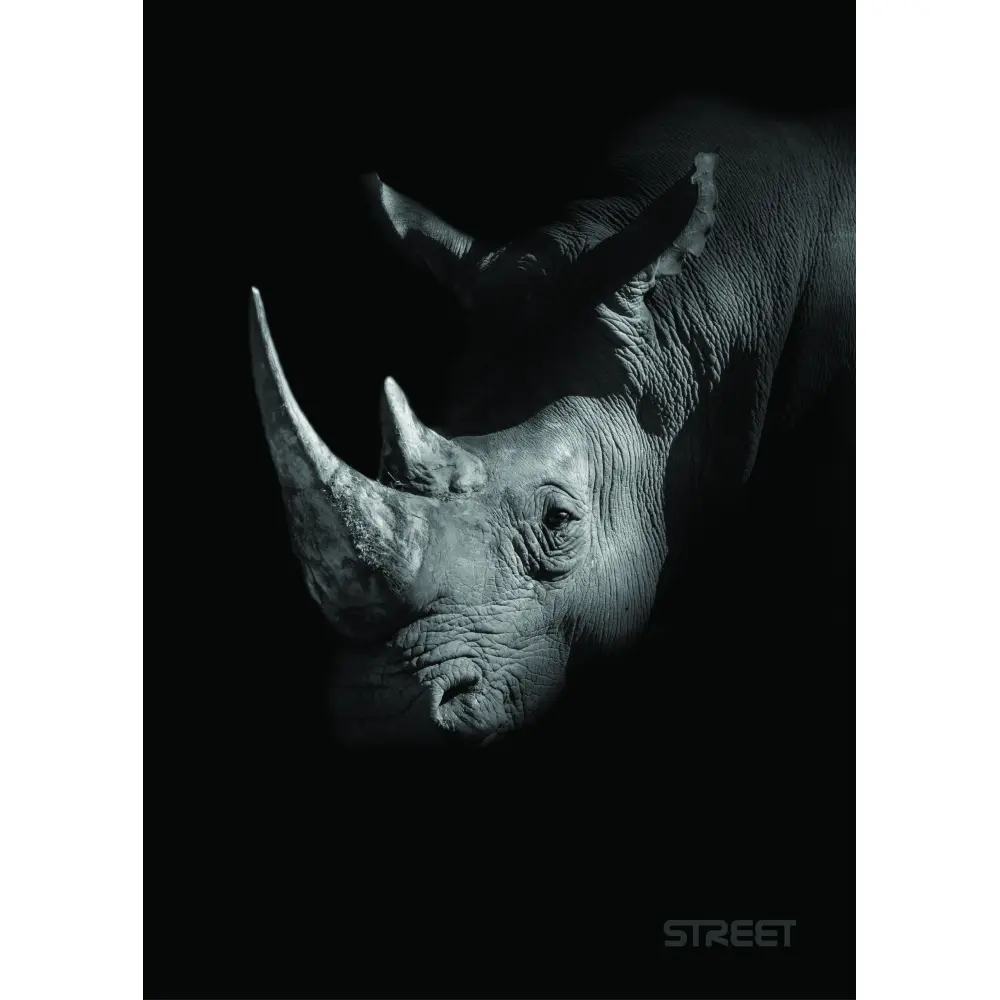 ZVEZEK STREET SAFARI A4 1R 54L 80GR