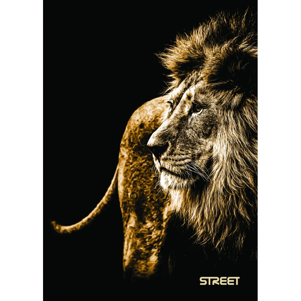 ZVEZEK STREET SAFARI A4 1R 54L 80GR