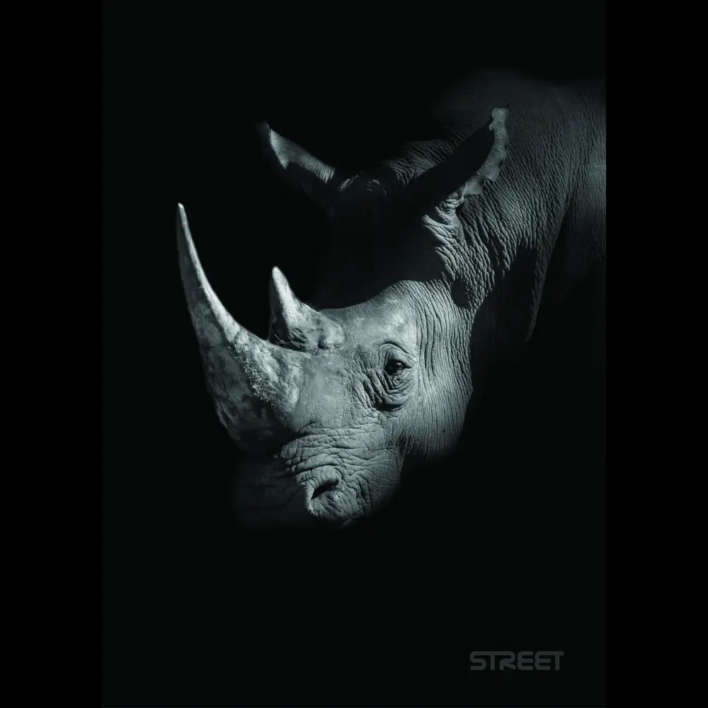 Zvezek Safari A4 mali karo