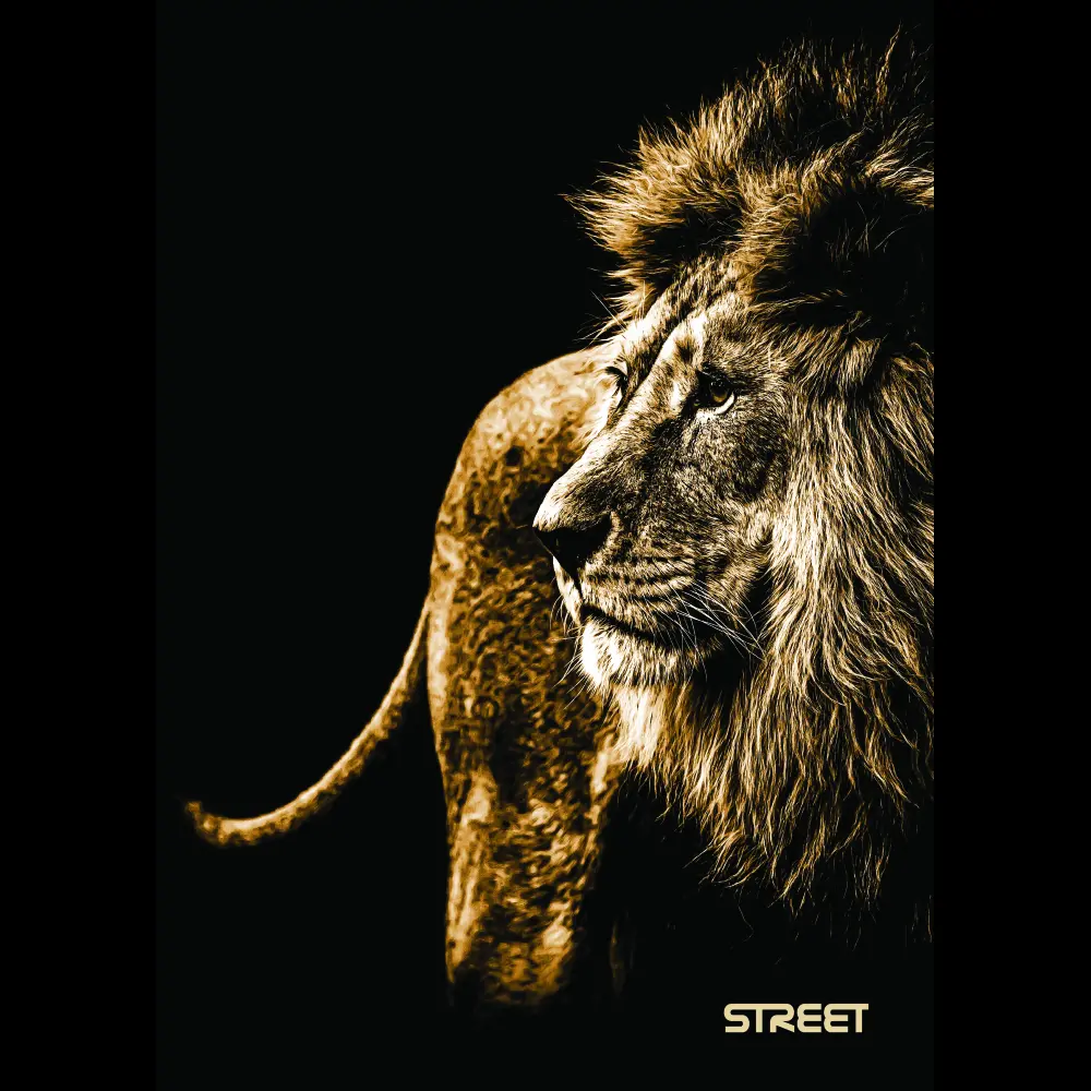 Zvezek Safari A4 mali karo