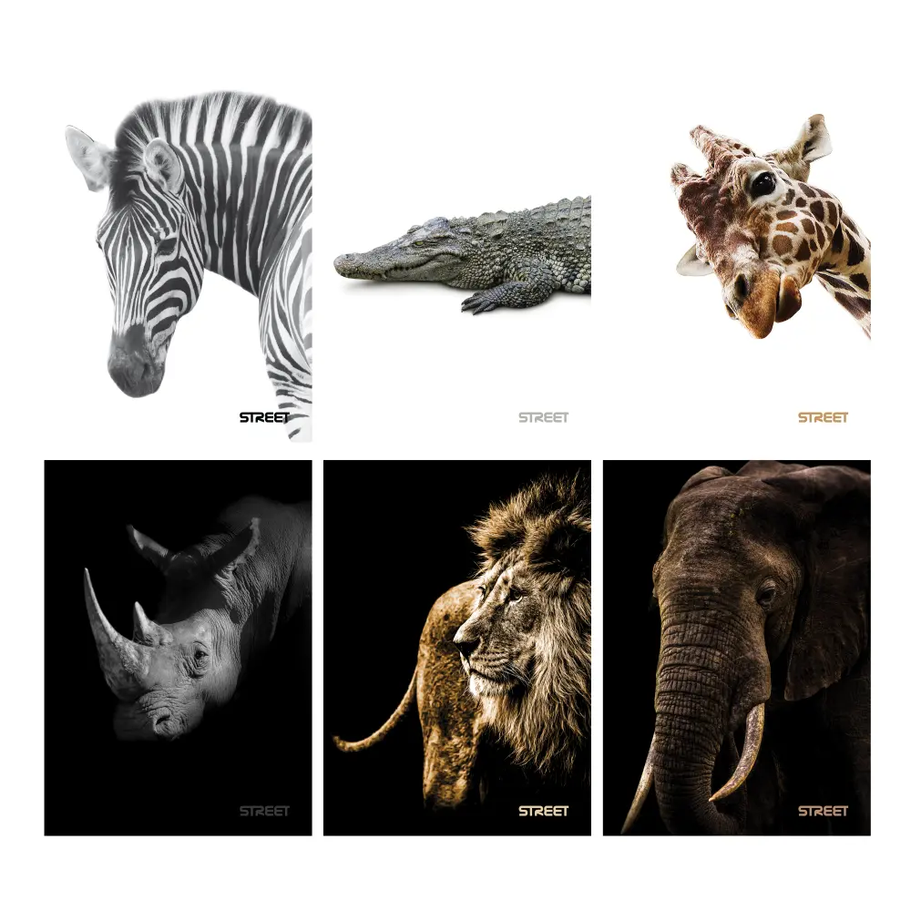 ZVEZEK STREET SAFARI A5 5M 54L 80GR