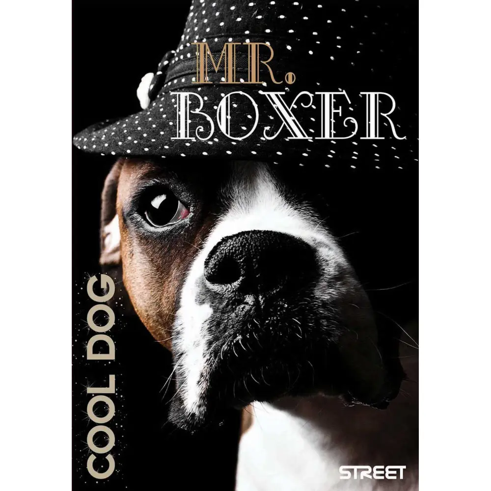 Zvezek Maxi A4, 1CM karo