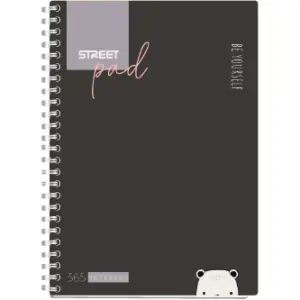 ZVEZEK ŠPIRALA S.PAD COLOR A5 1R 100L