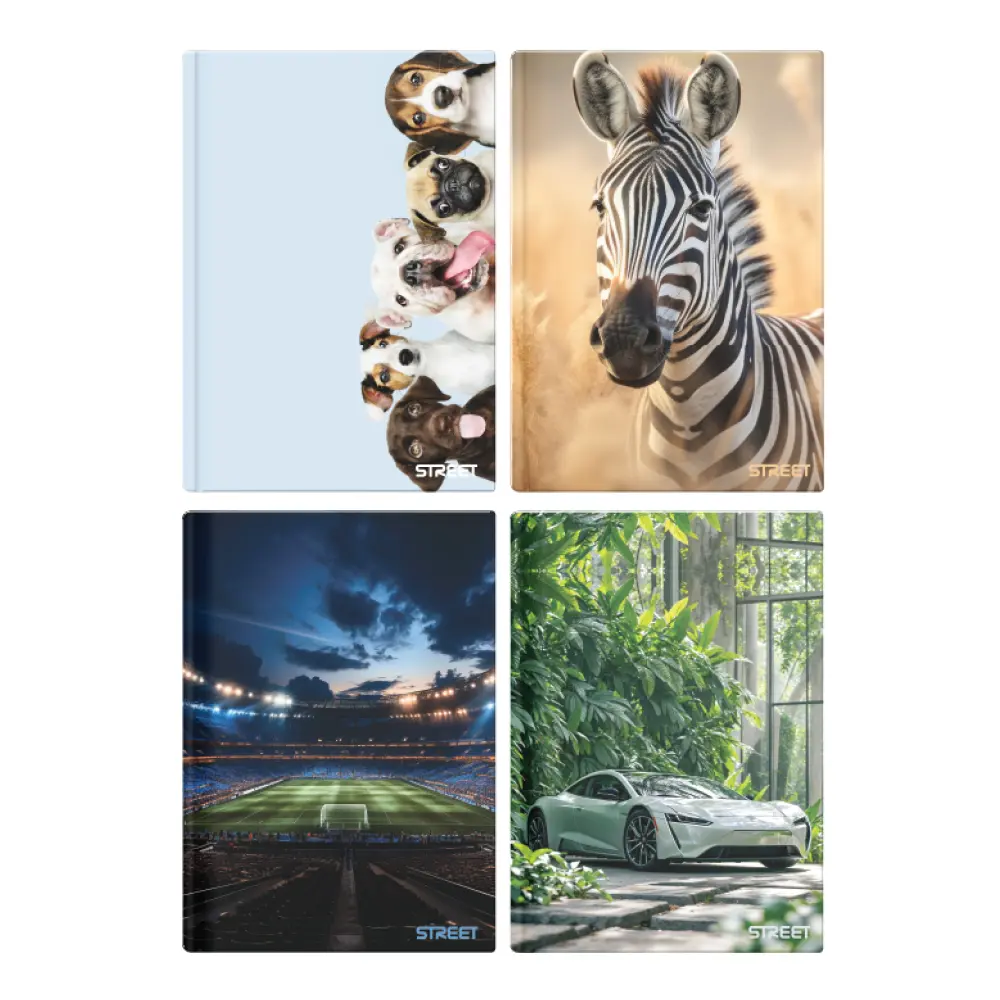 Zvezek trdi Street Maxi A5 črte 