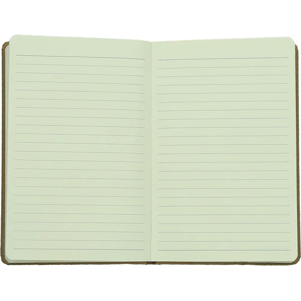 NOTES WITH STRING SPECTRUM A6-ECO