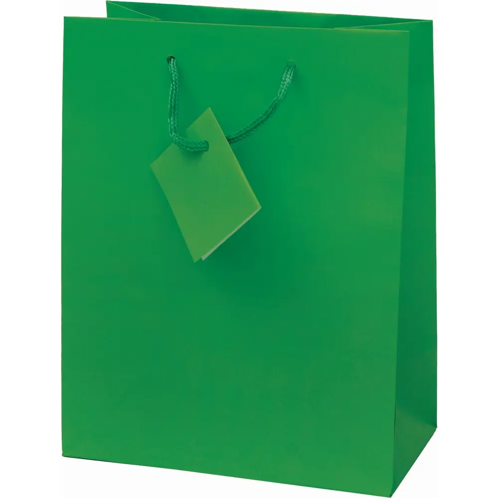 Darilna vrečka M zelena