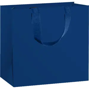 Vrečka enobarvna deluxe J
