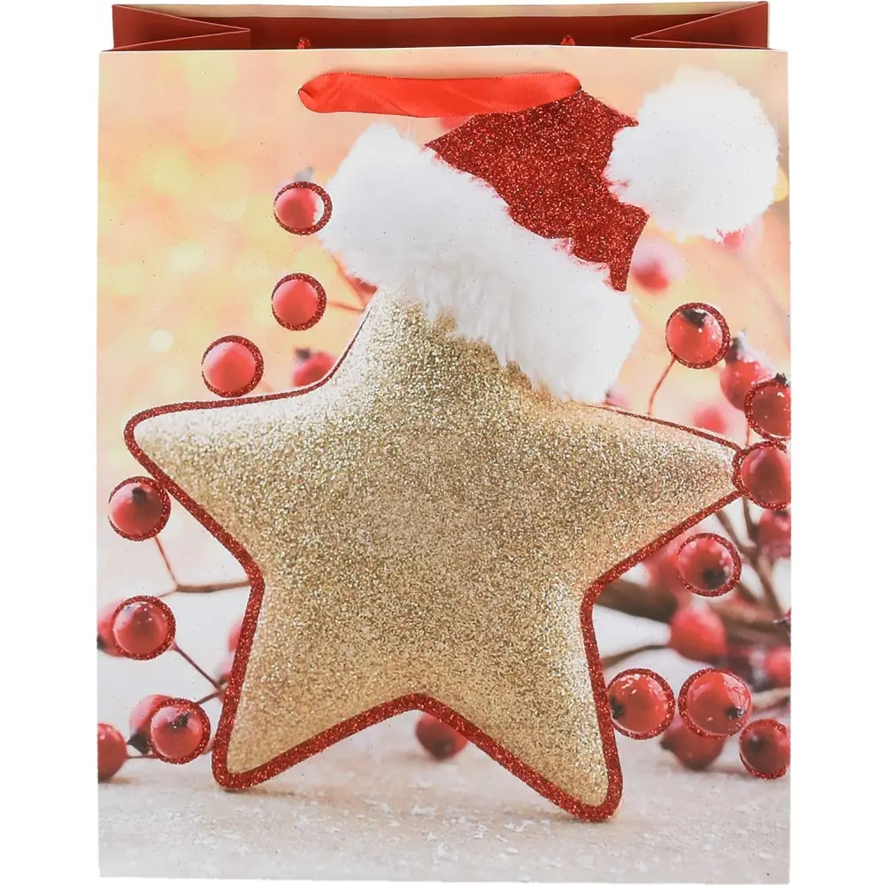 Darilna vrečka L novo leto