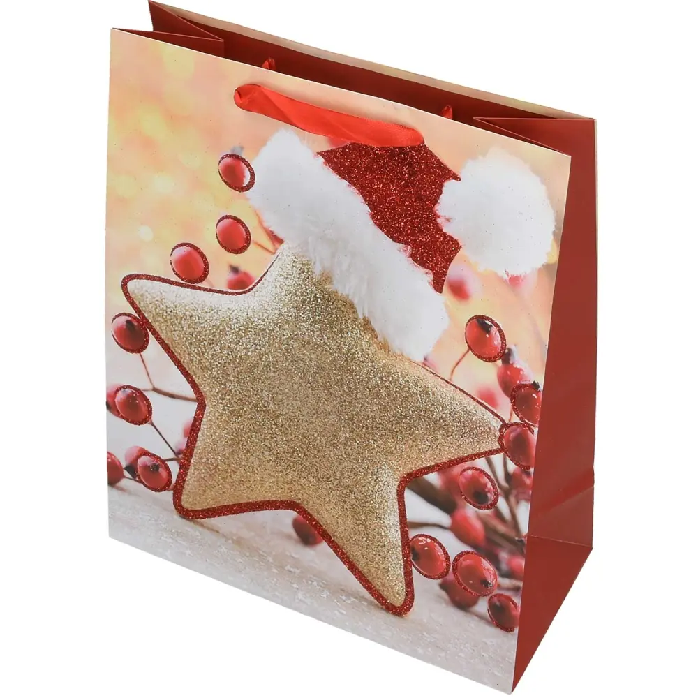 Darilna vrečka L novo leto