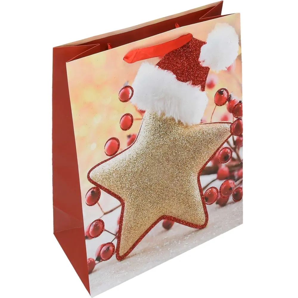 Darilna vrečka L novo leto