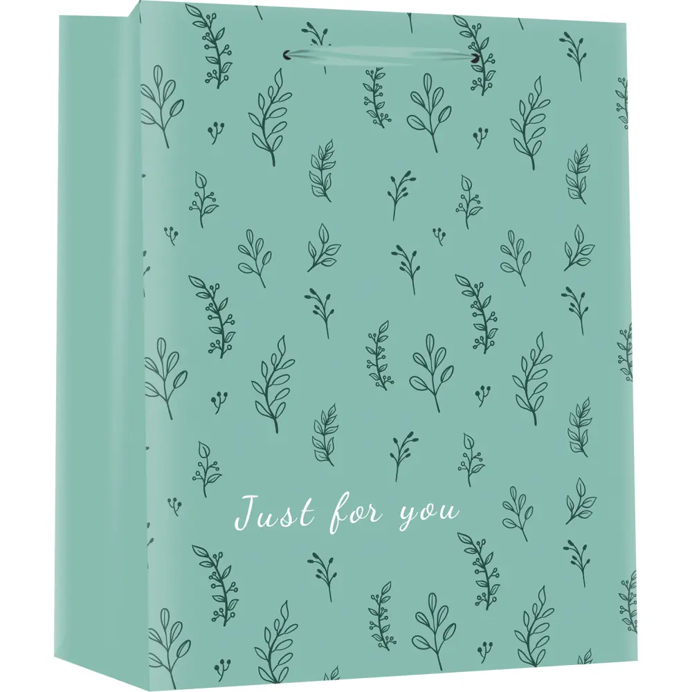 Darilna vrečka J rojstni dan