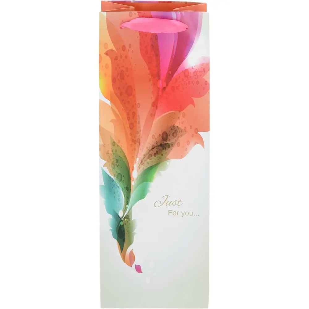 Darilna vrečka B rojstni dan