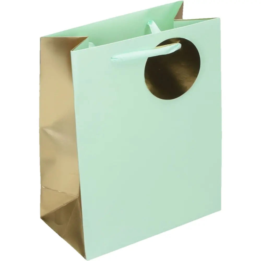Darilna vrečka mint M