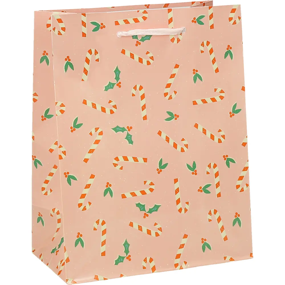 Darilna vrečka M novo leto