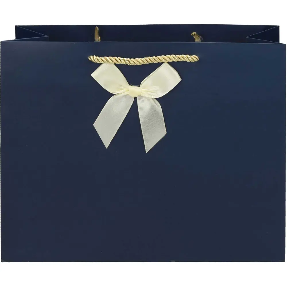 Darilna vrečka M z mašnjico