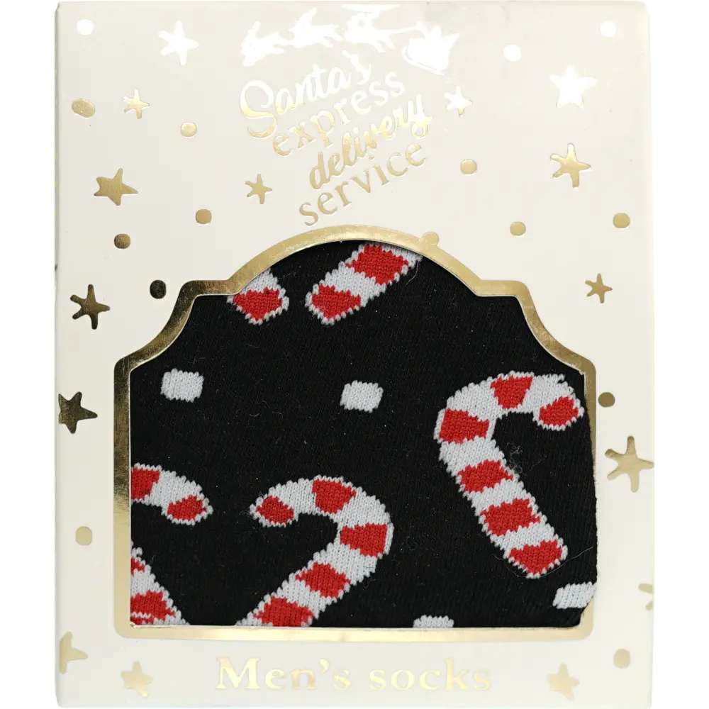 SOCKS IN A BOX MENS XMAS