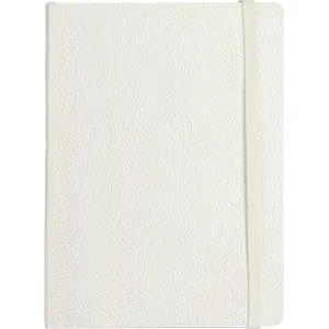 Notes Shiny z elastiko White B5