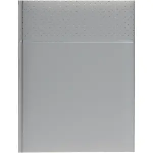 Dnevnik Tonda srebrn