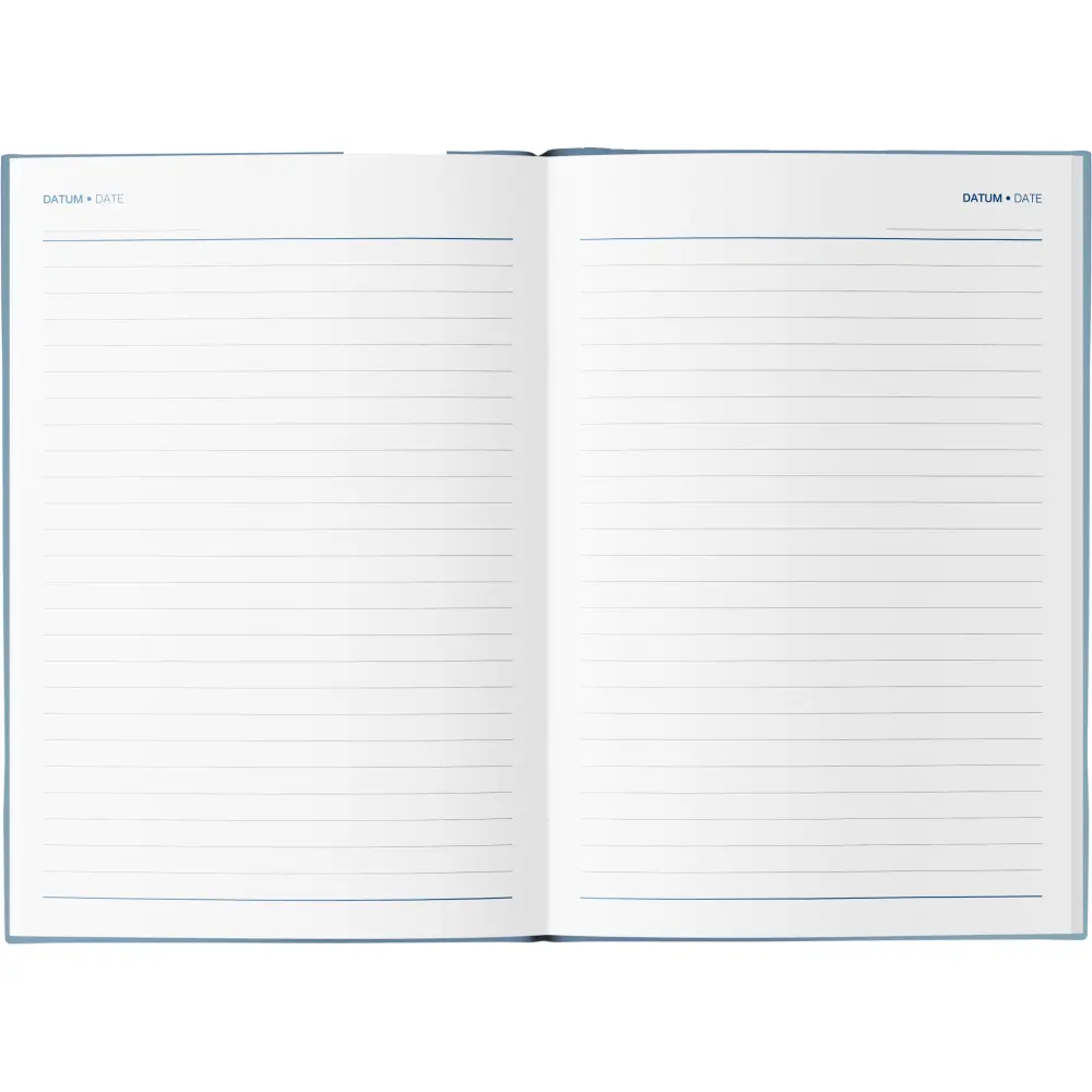 Dnevnik Vizija Petrol Moder