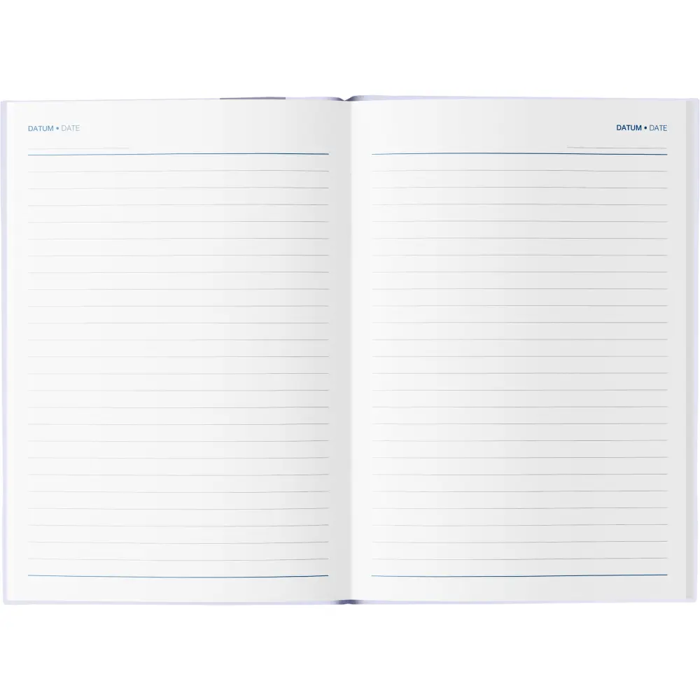 Dnevnik Vizija Viola