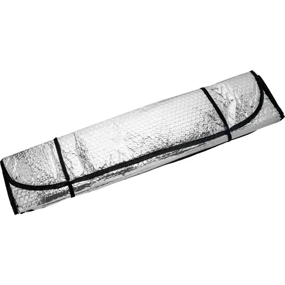 Sprednji senčnik za avto Protect