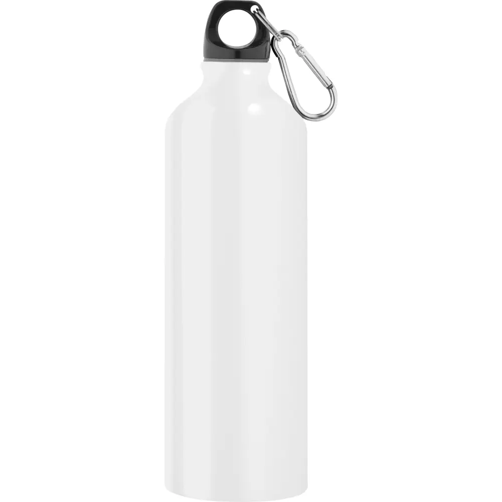 BOTTLE ALU HOOK L 750ML WITH CARABINER W