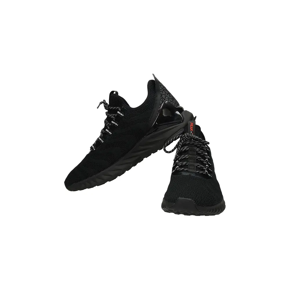 Sport shoes Peak E91617H