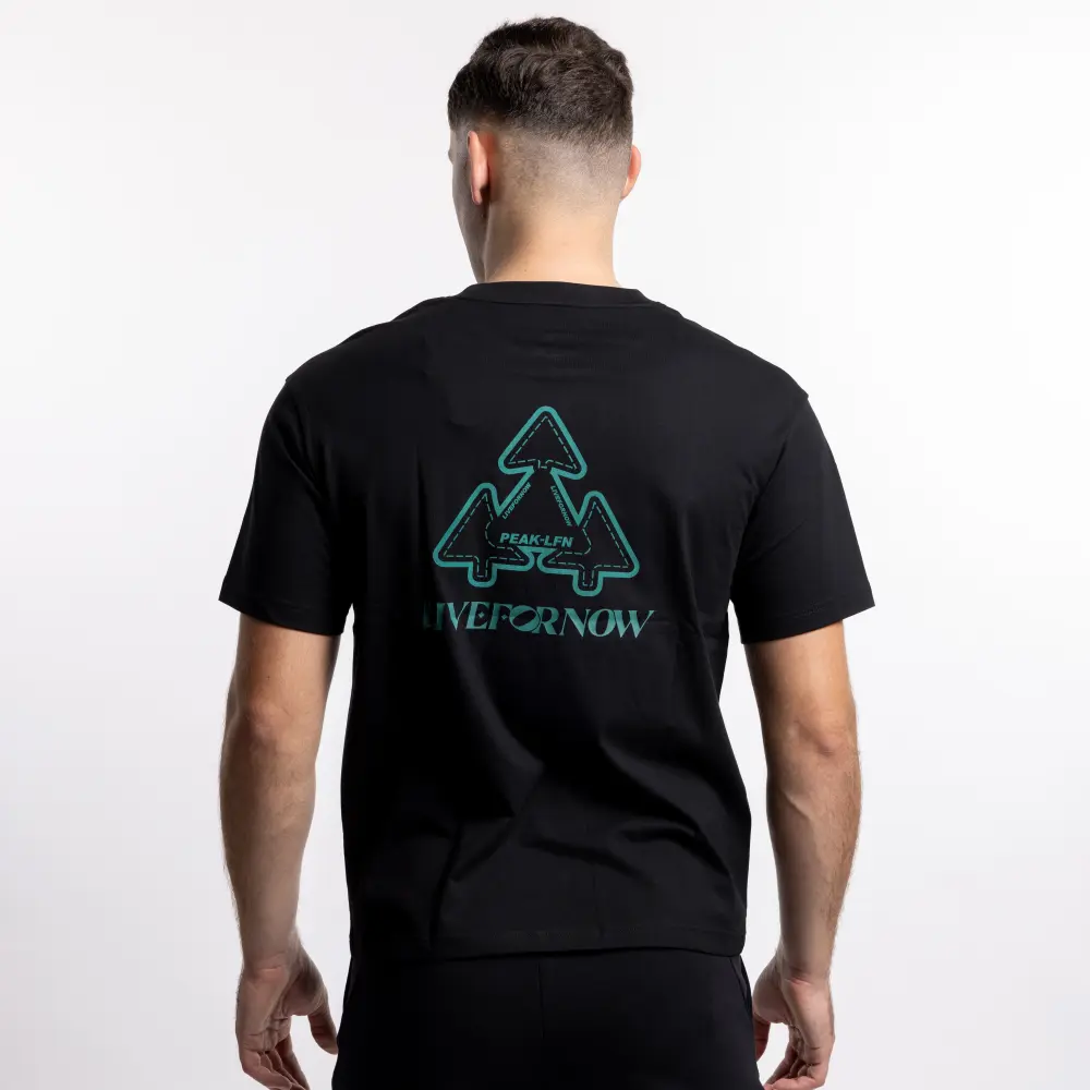 Moška majica PEAK FW6243067